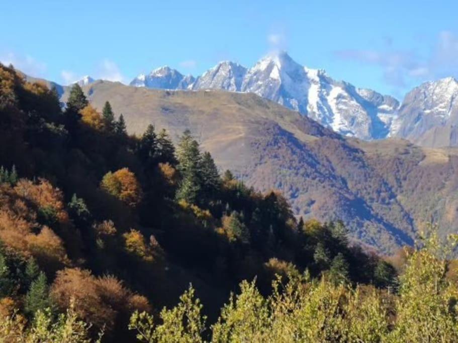 "Le Desman" Confortable T2 A La Montagne Face Aux Thermes Rando, Cure Aulus-les-Bains Exterior photo