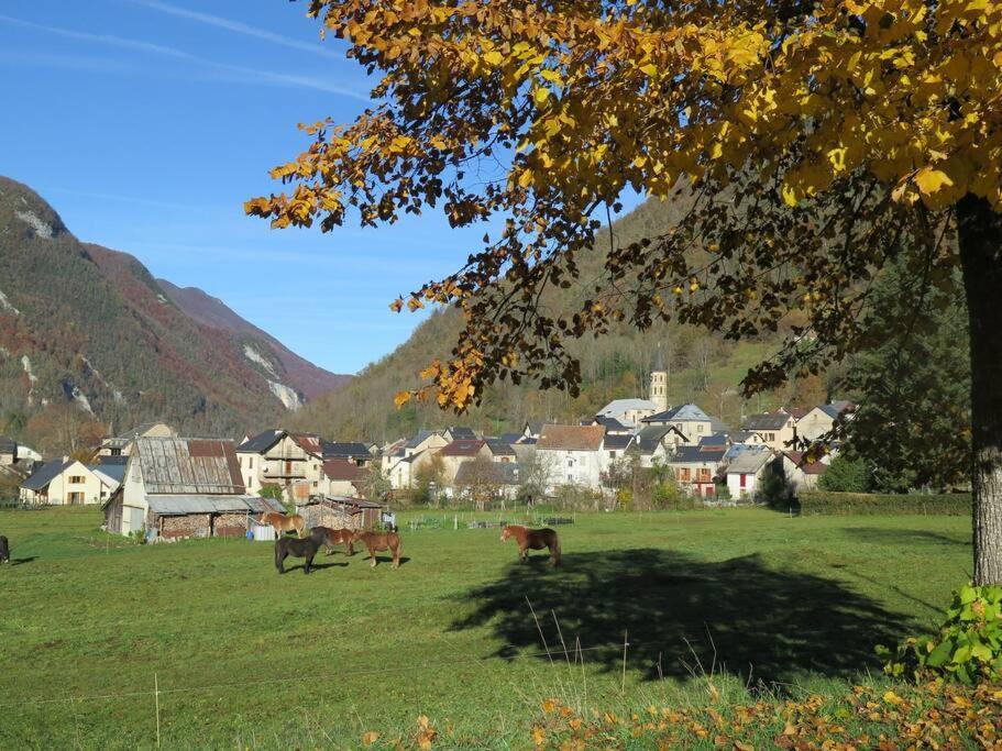 "Le Desman" Confortable T2 A La Montagne Face Aux Thermes Rando, Cure Aulus-les-Bains Exterior photo